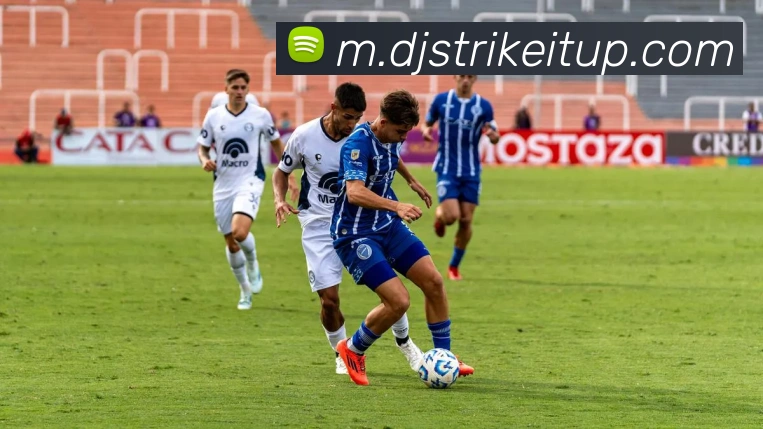 企业概况
